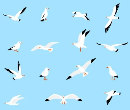 Vector set of beautiful seagulls. Stock Illustration