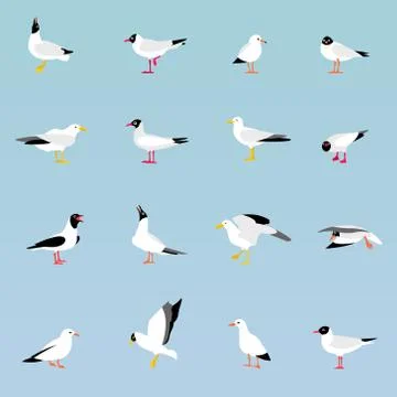 Vector set of beautiful seagulls. Stock Illustration