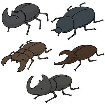 Vector set of beetle Stock Illustration