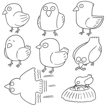 Vector set of bird Stock Illustration