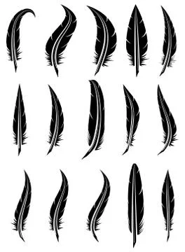 Vector set of black and white feathers Stock Illustration