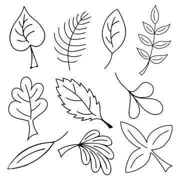 Vector Set of Black and White Doodle Leaves. Stock Illustration