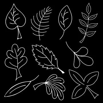 Vector Set of Black and White Doodle Leaves. Stock Illustration
