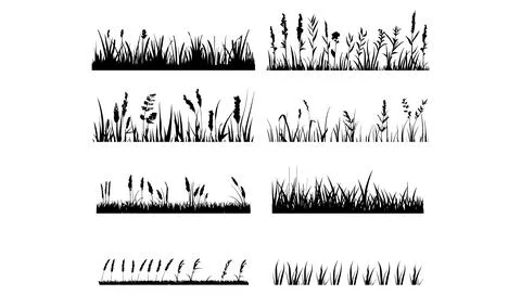 Vector set of black grass silhouettes on white background. Nature illustrat.. Illustrazione stock