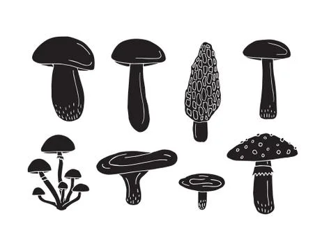 Vector set of black hand drawn mushroom Stock Illustration
