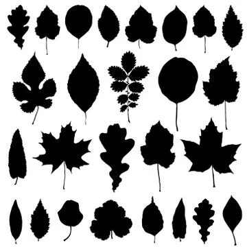 Vector set of black leaves silhouette Stock Illustration