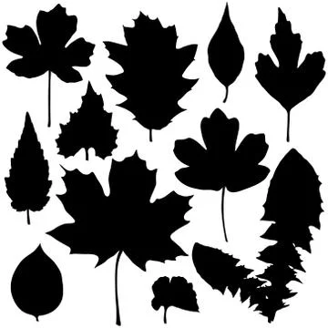 Vector set of black leaves silhouette Stock Illustration