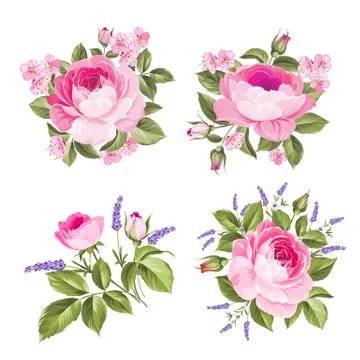 Vector set of blooming flowers for your design. Spring, summer wedding romantic 스톡 일러스트
