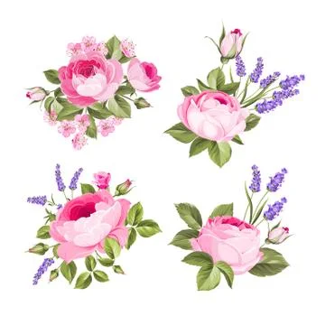 Vector set of blooming flowers for your design. Spring, summer wedding romantic 스톡 일러스트