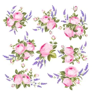Vector set of blooming flowers for your design. Spring, summer wedding romantic 스톡 일러스트