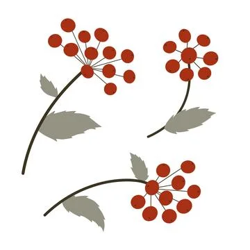 Vector set of branches with red berries. Rowan tree berry flat cartoon stylized Stock Illustration