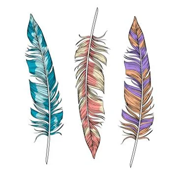 Vector set of bright  feathers Stock Illustration