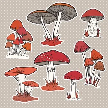 Vector set of bright hand drawn mushrooms Stock Illustration
