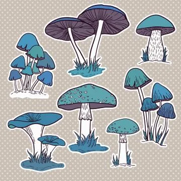 Vector set of bright hand drawn mushrooms Stock Illustration