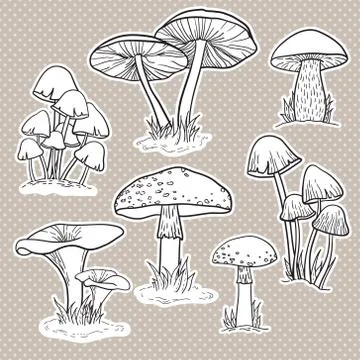 Vector set of bright hand drawn mushrooms Stock Illustration