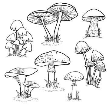 Vector set of bright hand drawn mushrooms Stock Illustration