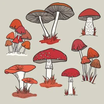 Vector set of bright hand drawn mushrooms Stock Illustration