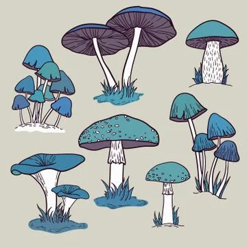 Vector set of bright hand drawn mushrooms Stock Illustration