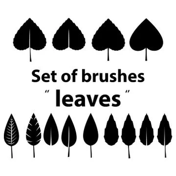 Vector set of brushes leaves Stock Illustration