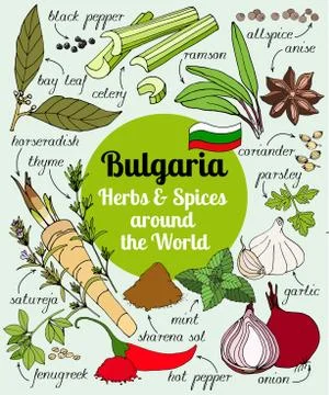 Vector set of Bulgarian herbs and spices. Stock Illustration