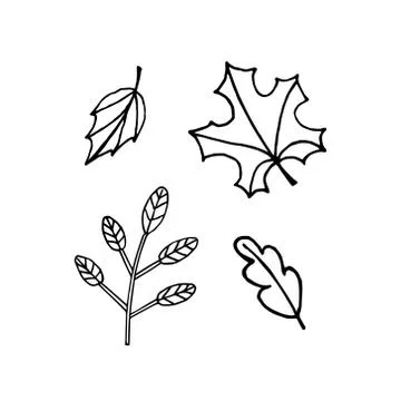 Vector set bundle of hand drawn doodle leaves Stock Illustration