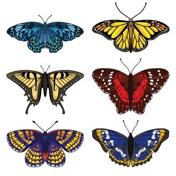 Vector set with butterflies isolated on white background Stock Illustration