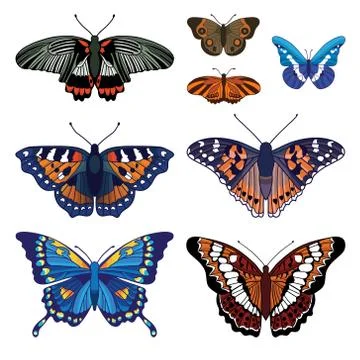 Vector set with butterflies isolated on white background Stock Illustration