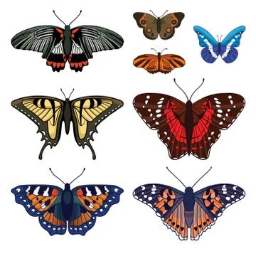 Vector set with butterflies isolated on white background Stock Illustration