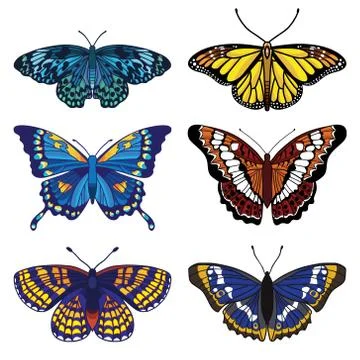 Vector set with butterflies isolated on white background Stock Illustration