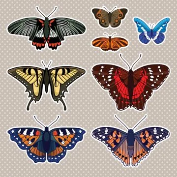 Vector set with butterflies isolated on white background Stock Illustration