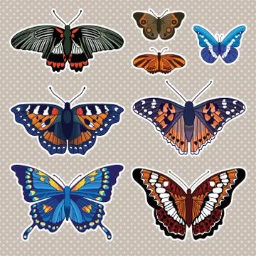 Vector set with butterflies isolated on white background Stock Illustration