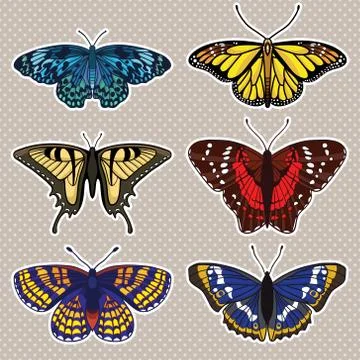 Vector set with butterflies isolated on white background Stock Illustration