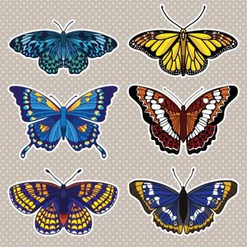 Vector set with butterflies isolated on white background Stock Illustration
