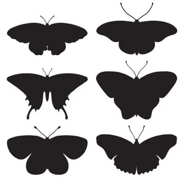 Vector set with butterfly silhouettes isolated on white background Stock Illustration