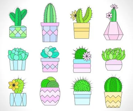 Vector set of cacti and succulents in flower pots. Stock Illustration