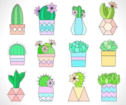 Vector set of cacti and succulents in flower pots. Stock Illustration