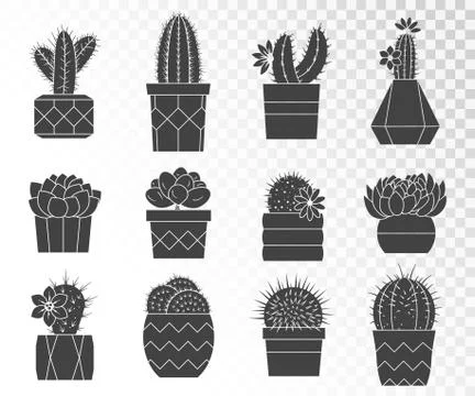 Vector set of cacti and succulents in flower pots. Stock Illustration