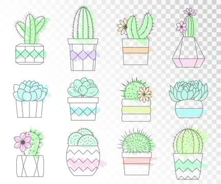 Vector set with cacti and succulents in flower pots.  Stock Illustration