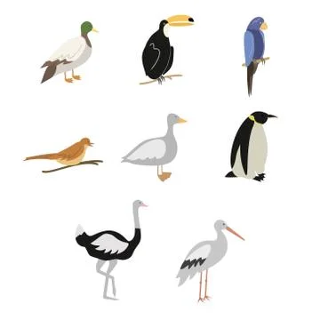 Vector set of cartoon birds Stock Illustration
