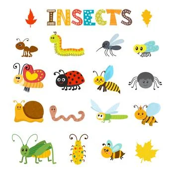 Vector set of cartoon insects. Colorful bugs collection Stock Illustration