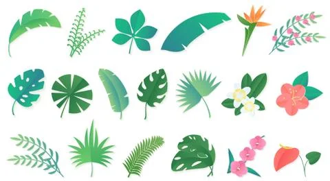 Vector set of cartoon tropical rainforest leaves and flowers. Stock Illustration