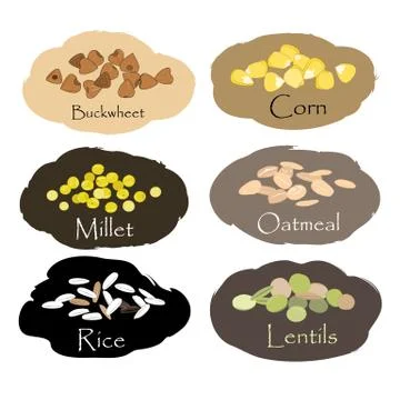 Vector set of cereal and grain emblems. For packing groats, kitchen jar print Stock Illustration