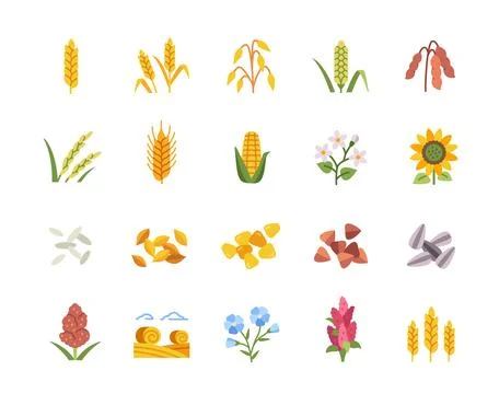 Vector Set of cereals icons Stock Illustration