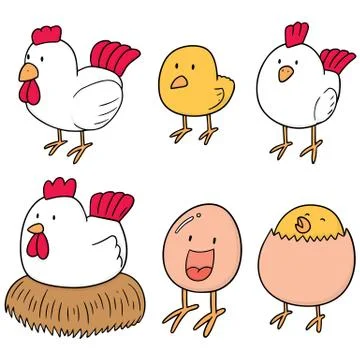 Vector set of chicken and egg Stock Illustration