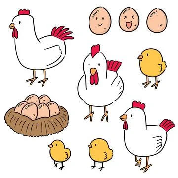 Vector set of chicken and egg Stock Illustration