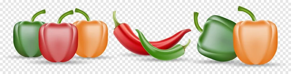 Vector Set of Chili Pepper and Colored Yellow Green and Red Sweet Bulgarian Bell Stock Illustration