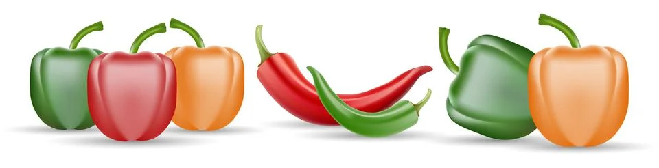 Vector Set of Chili Pepper and Colored Yellow Green and Red Sweet Bulgarian Bell Stock Illustration