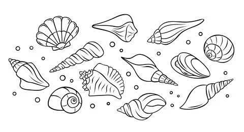 Vector set collection of various seashells and underwater marine life depic.. Stock Illustration