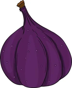 Vector set of colorful figs. Stock Illustration