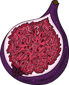 Vector set of colorful figs. Stock Illustration